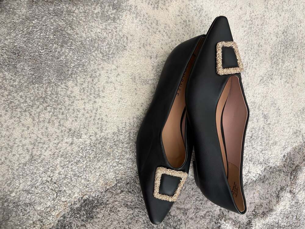JANINA POINTED TOE FLAT Sam Edelman 11